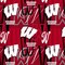 Licensed NCAA University of Wisconsin Letters Cotton Fabric by the Yard